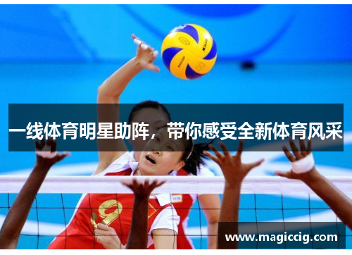 一线体育明星助阵，带你感受全新体育风采